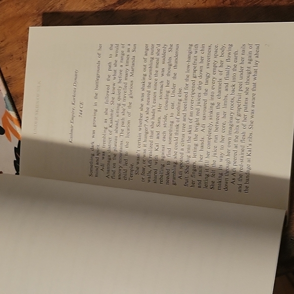 Under Skies of Silk book historical fiction - Picture 2 of 3